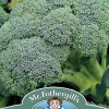 BROCCOLI (Autumn)  Covina