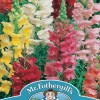 ANTIRRHINUM Rust Resistant Mixed