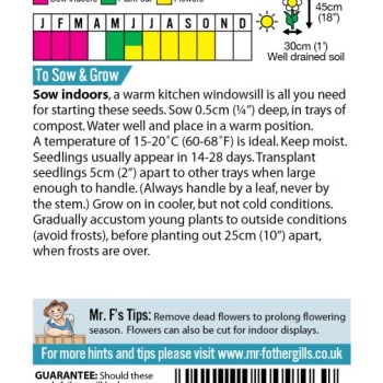 ANTIRRHINUM Rust Resistant Mixed