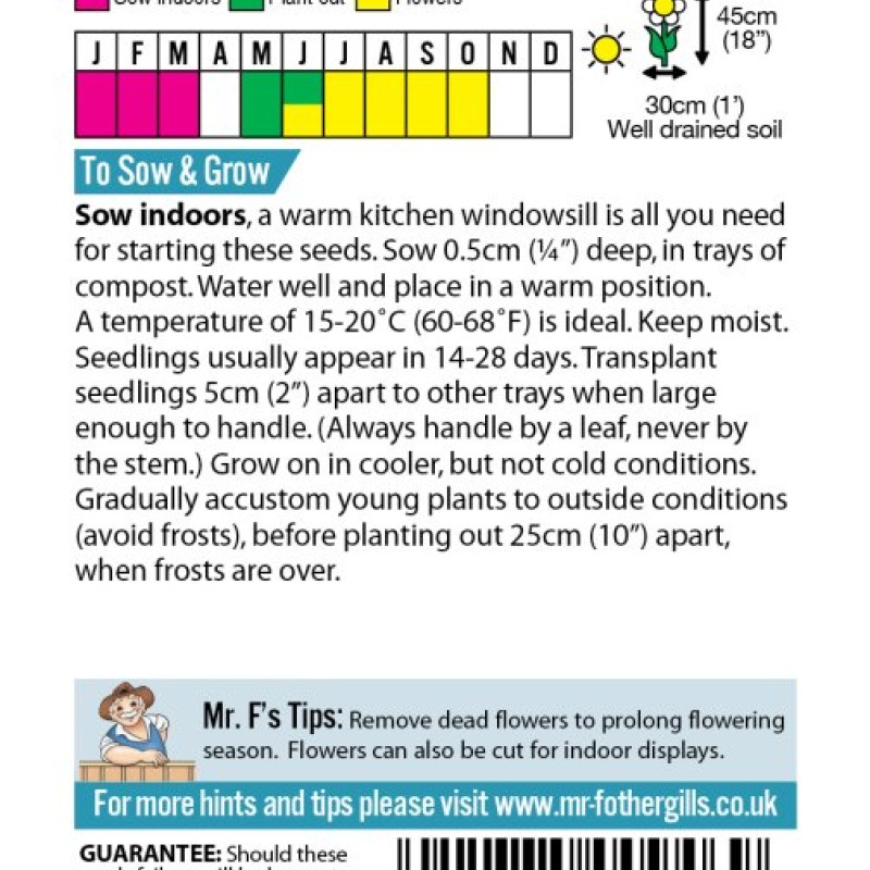 ANTIRRHINUM Rust Resistant Mixed