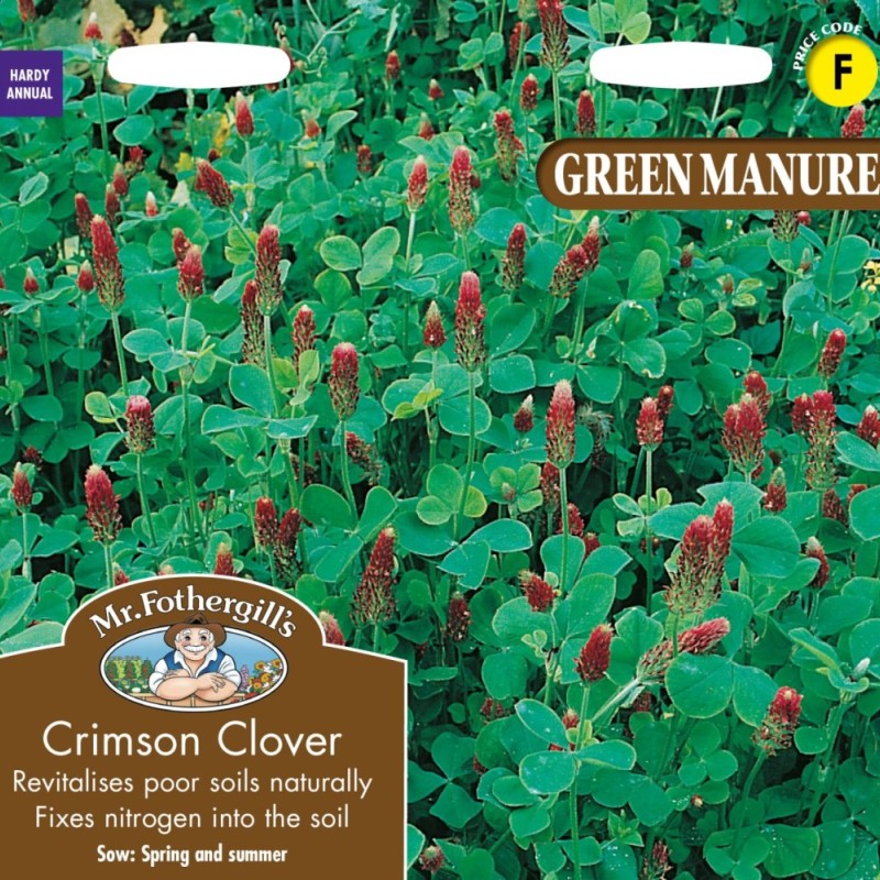 GREEN MANURE Crimson Clover