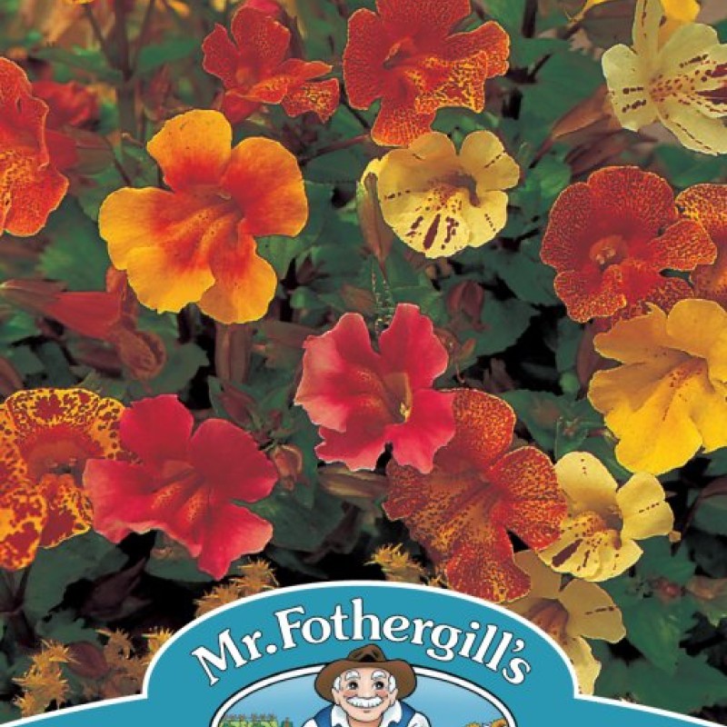 MIMULUS Extra Choice Mixed