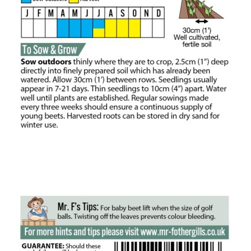 BEETROOT Detroit 2 (Crimson Globe)