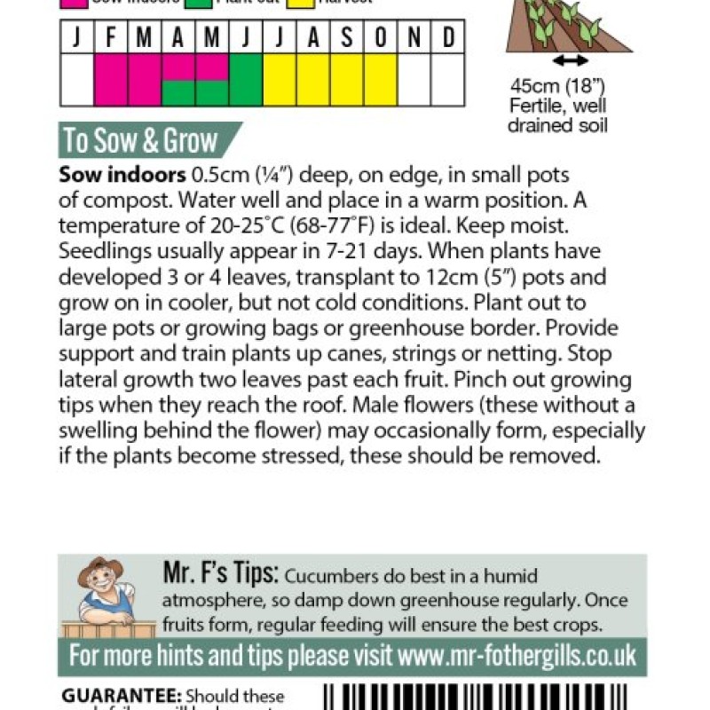 TC : FEATHER SIMPLE DROP EARRING ROSE GOLD