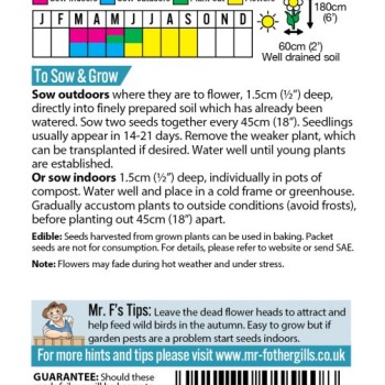 SUNFLOWER Velvet Queen