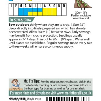 LETTUCE Romaine Ballon