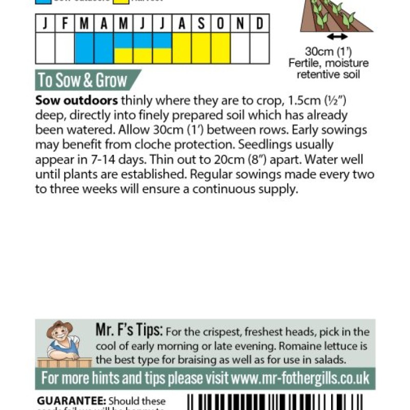 LETTUCE Romaine Ballon