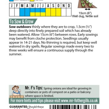 ONION (Spring) Ishikura