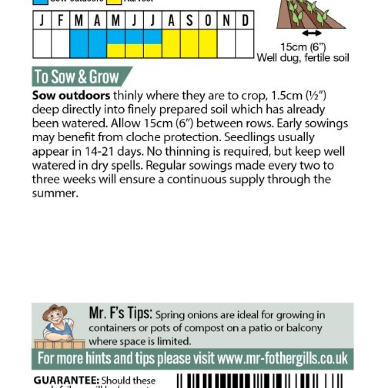 ONION (Spring) Ishikura