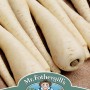 PARSNIP Javelin F1