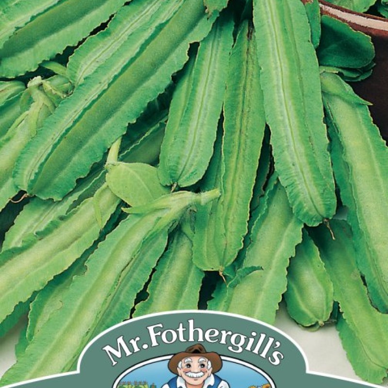 ASPARAGUS Pea