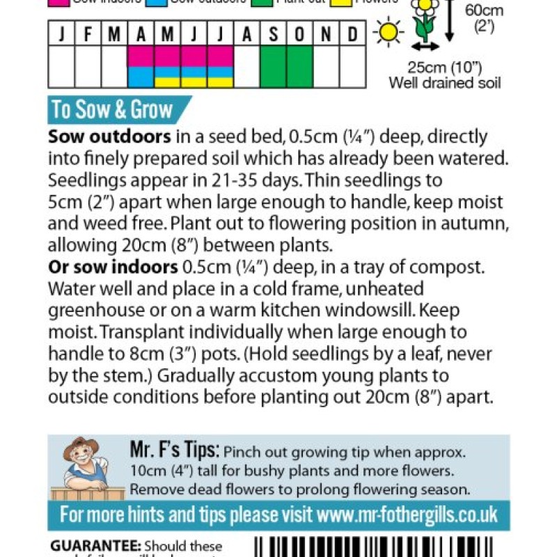 SWEET WILLIAM Electron
