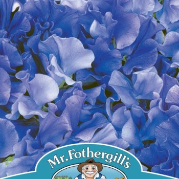 SWEET PEA Singing The Blues