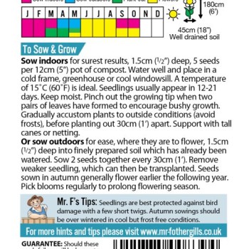 SWEET PEA Singing The Blues