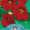 NASTURTIUM Tip Top Velvet
