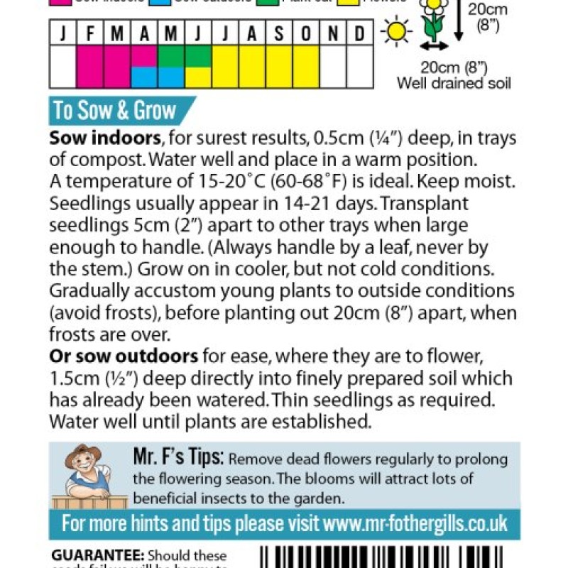 MARIGOLD (French) Orange Boy