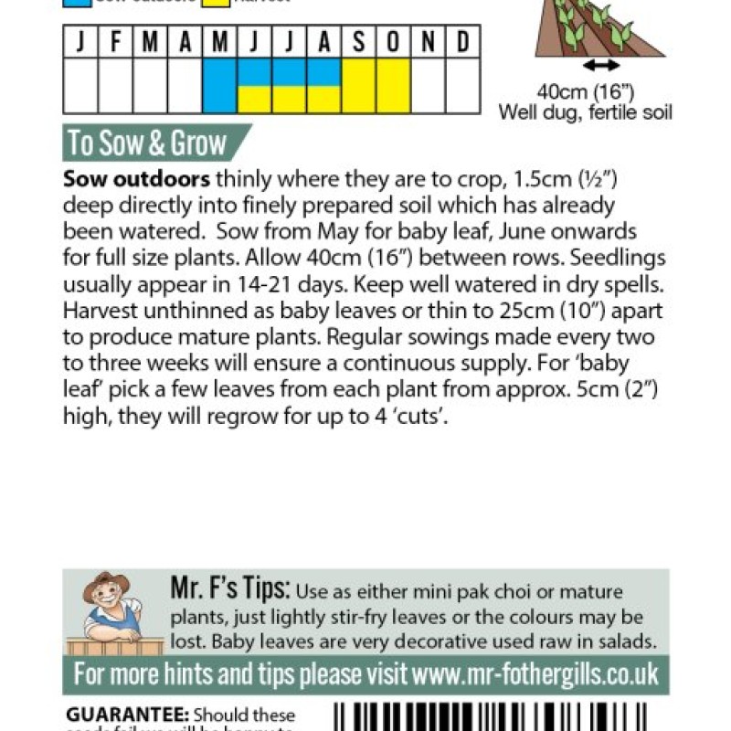 PAK CHOI Colour & Crunch F1
