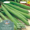 BROAD BEAN Aguadulce