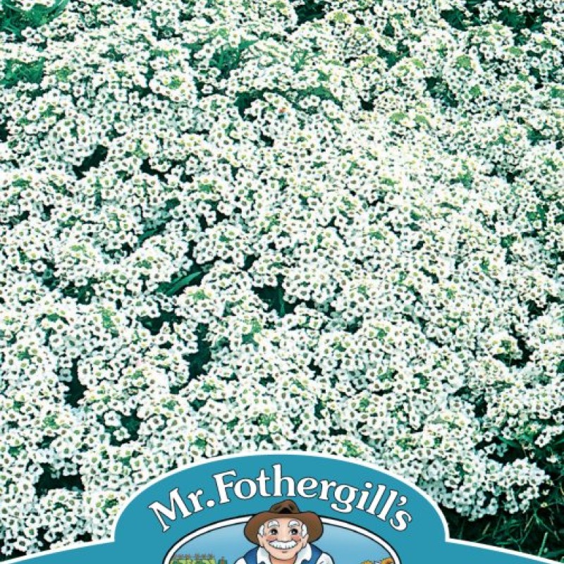 ALYSSUM Snow Cloth