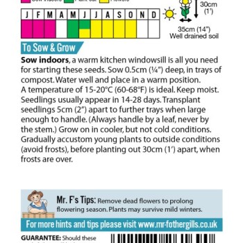 ANTIRRHINUM Antiquity F1
