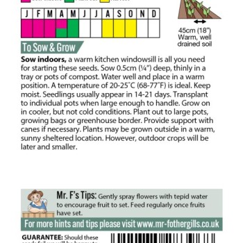 AUBERGINE Jewel Jet F1