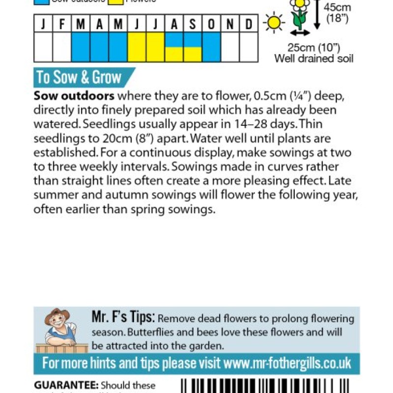 CORNFLOWER Polka Dot