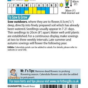 CALENDULA Orange Flash