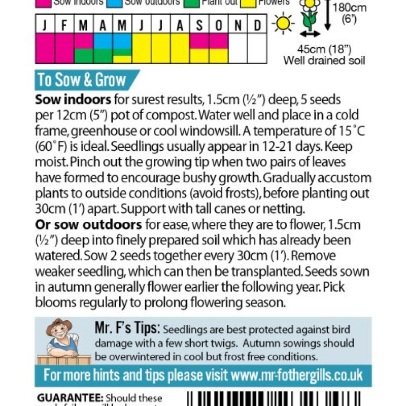 SWEET PEA Fire & Ice