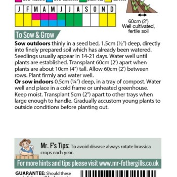 CABBAGE (Savoy) January King 3