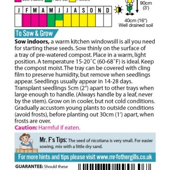 NICOTIANA Starlight Dancer