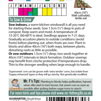 SWEET CORN Rising Sun F1