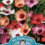 FLAX (Linum) Charmer Mixed