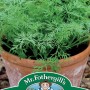 DILL (Dwarf) Nano