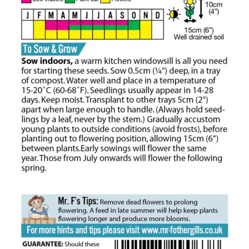 VIOLA Network Improved