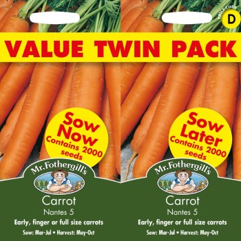 CARROT Nantes 5 Bumper Pack