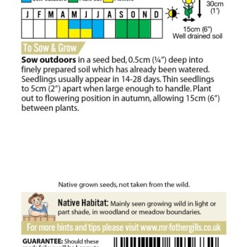 Forget me not (Field)