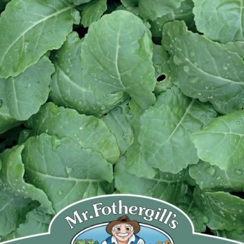 KALE (Ethiopian) Amara