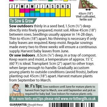 KALE (Ethiopian) Amara