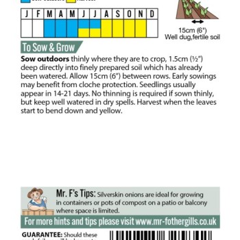 ONION De Paris (Silverskin)