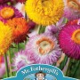 Helichrysum Strawflower Mix