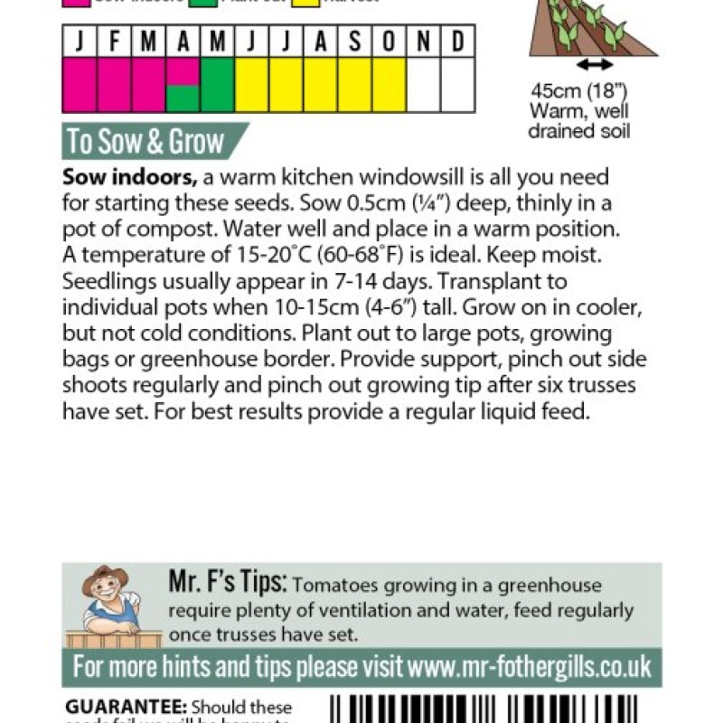 Tomato Supersteak F1