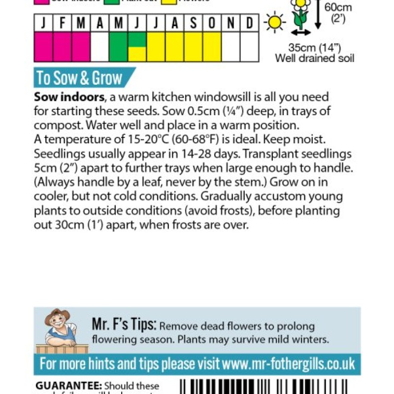 Antirrhinum Mango Twist