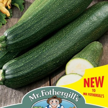 Courgette Blackstar F1