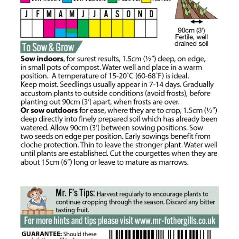 Courgette Blackstar F1