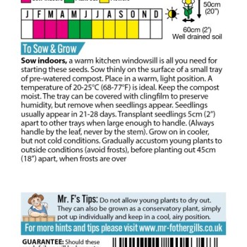 FORGET ME NOT (Jamaican) Blue Lady